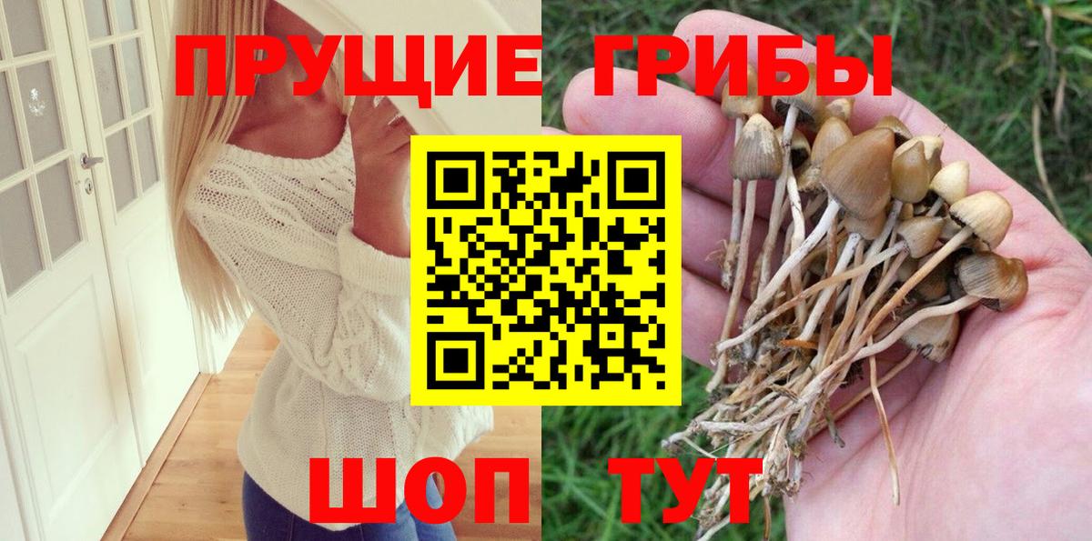 продажа наркотиков  Вход с VPN  Гуково  Псилоцибиновые грибы прущие грибы 