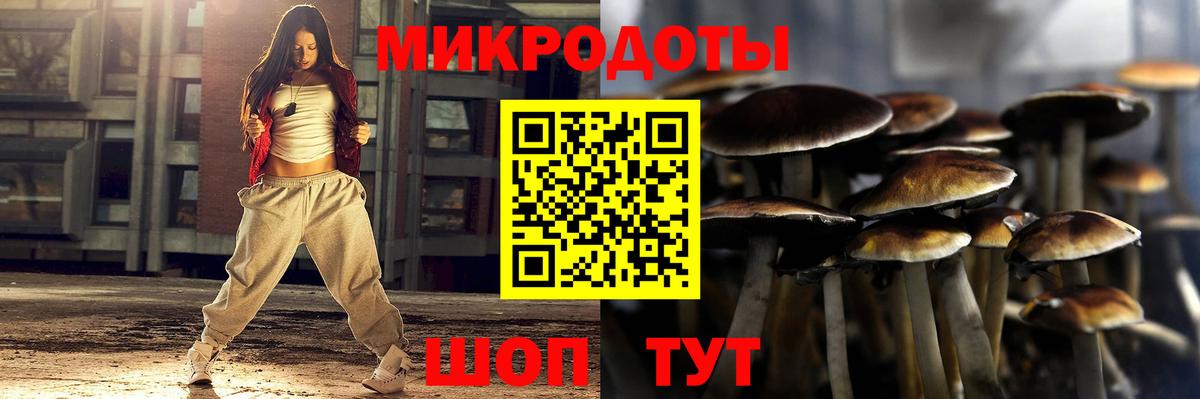 Галлюциногенные грибы MAGIC MUSHROOMS Гуково